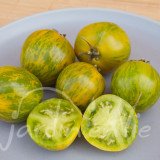 TOMATE Green Zebra