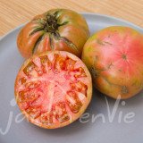 TOMATE Géante d'Orembourg