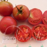 TOMATE Rose de Berne