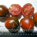 TOMATE Black Ethiopian