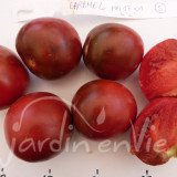 TOMATE Caramel