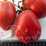TOMATE Coeur de Boeuf Jerusalem
