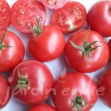 TOMATE château rose