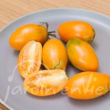 TOMATE Datte jaune