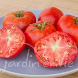 TOMATE Languedocienne