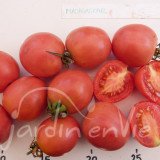 TOMATE Madagascar