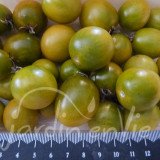 TOMATE Cerise Raisin Vert (Green Grape)
