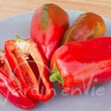 POIVRON Rosso Duemila