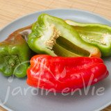 POIVRON Doux d'Espagne