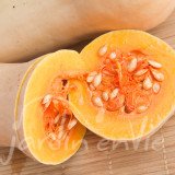 COURGE Butternut