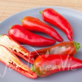 PIMENT Goria dit d'Espelette