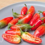 PIMENT Jalapeno