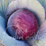 CHOU ROUGE Granat