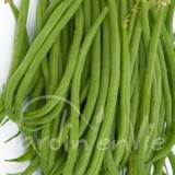 HARICOT NAIN La victoire