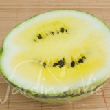 PASTEQUE Premier rayon de lune