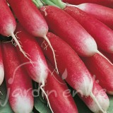 RADIS French breakfast