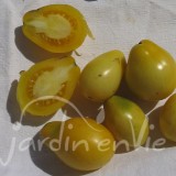 TOMATE Cerise Poire jaune