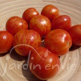 TOMATE Cerise Tigerette Cherry
