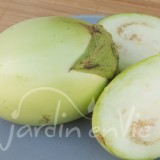 AUBERGINE Apple green