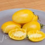 TOMATE Poire lumière merveilleuse