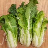 CHOU DE CHINE Granaat