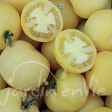 TOMATE Wapsipinicon peach