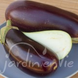 AUBERGINE Melonga
