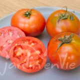 TOMATE Améliorée de Monthléry