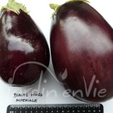 AUBERGINE Beauté noire impériale