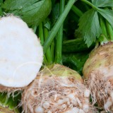 CÉLERI-RAVE Monarch