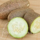 CONCOMBRE Empereur Alexandre