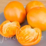 TOMATE Coeur de Boeuf orange